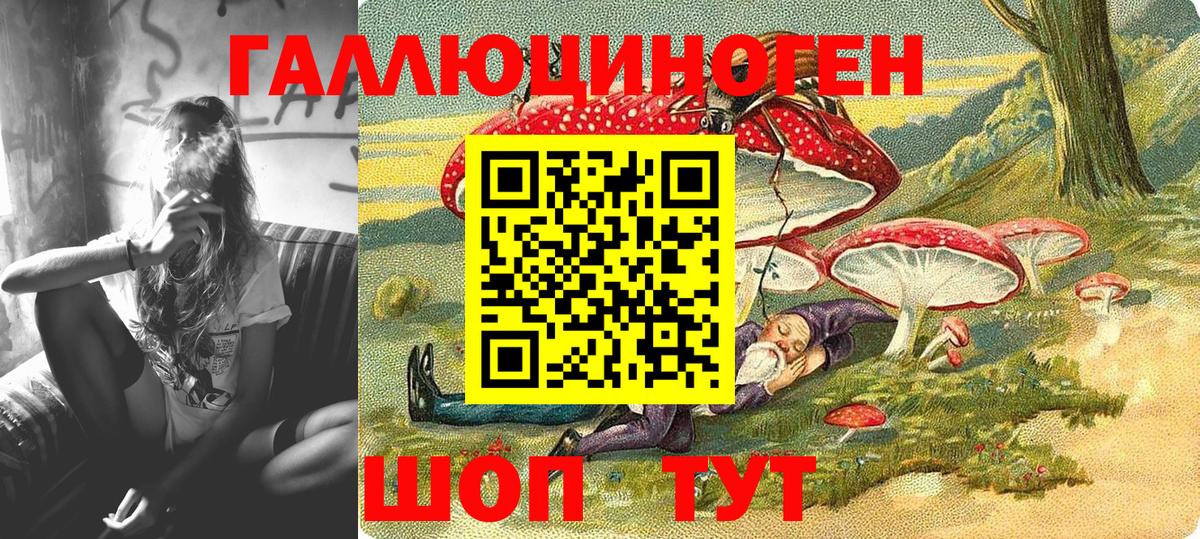 Галлюциногенные грибы Psilocybe Семилуки