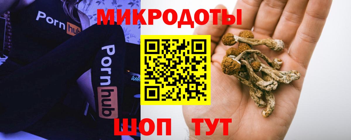Псилоцибиновые грибы Cubensis  закладки  Вход с VPN  Семилуки  Псилоцибиновые грибы MAGIC MUSHROOMS 